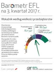 EFL: średnie firmy ciągną polskie MŚP w górę